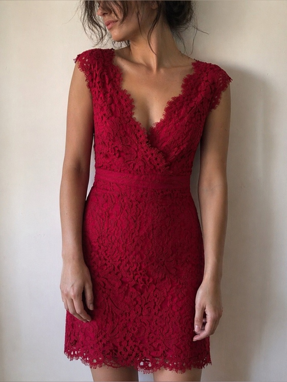 Tadashi Shoji Red Lace Sheath Dress 10  Petite Romantic Coquette Cocktail